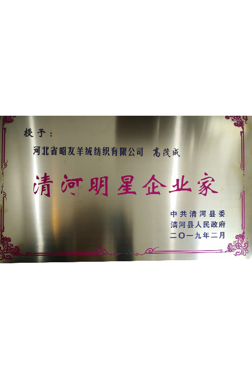 2019 Qinghe Star Enterprise